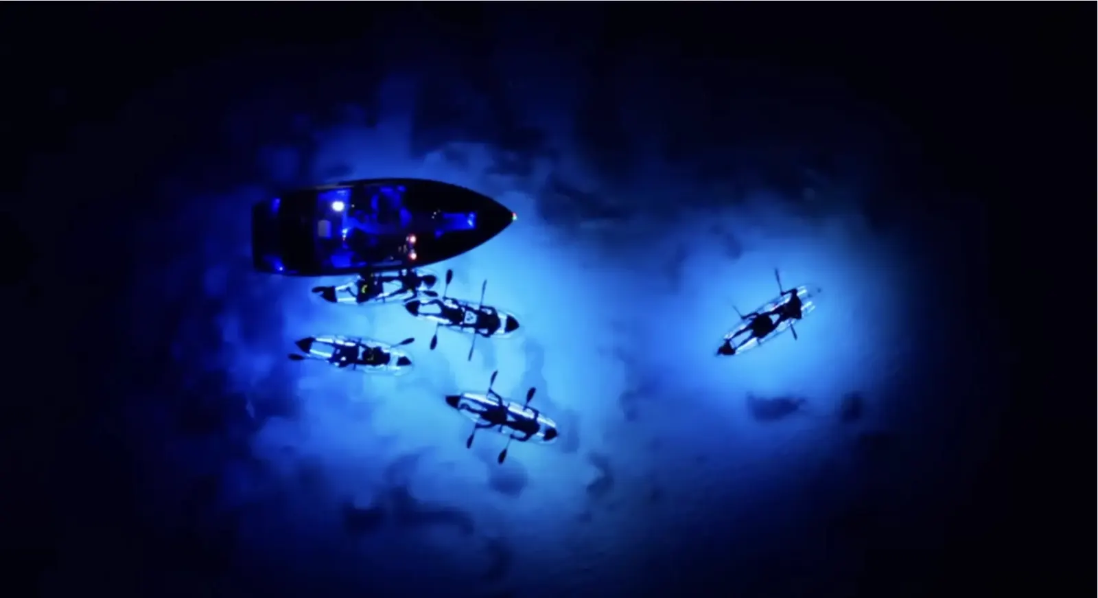 Aerial view of illuminated clear kayaks glowing beside the guide boat at night