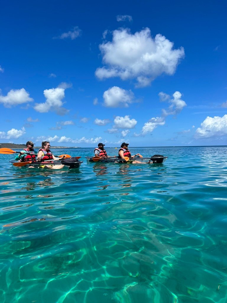 Shoreline with kayaks